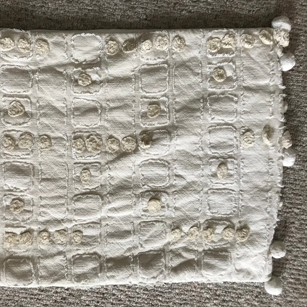 SET ANTHROPOLOGIE POMMED KIMBRA STANDARD SHAMS